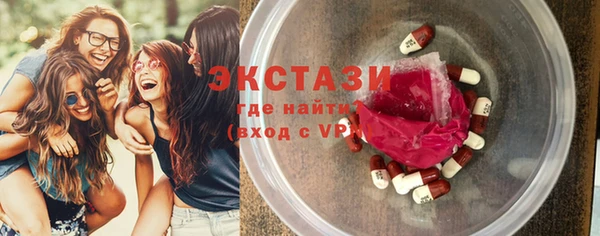 ECSTASY Богданович