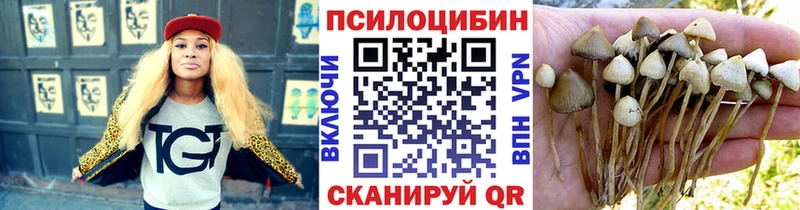 Псилоцибиновые грибы MAGIC MUSHROOMS цены наркотик это формула Норильск omg зеркало
