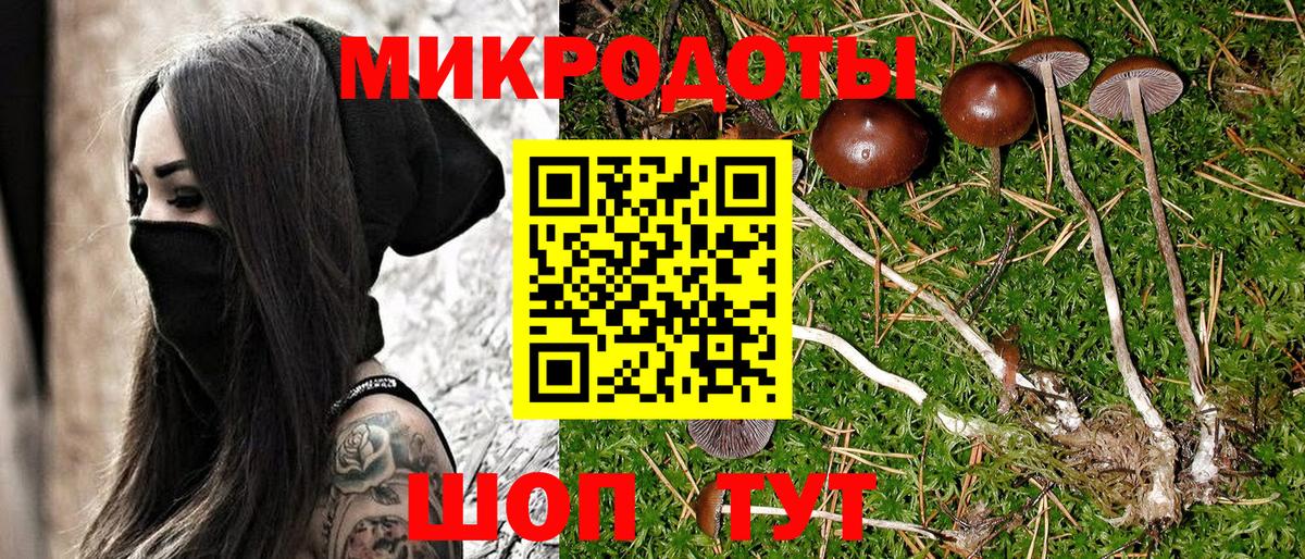 Псилоцибиновые грибы Magic Shrooms Норильск