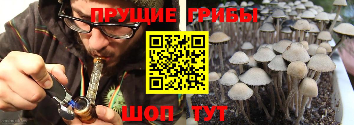 Норильск  Галлюциногенные грибы Psilocybe  Псилоцибиновые грибы Psilocybe  Вход с VPN 